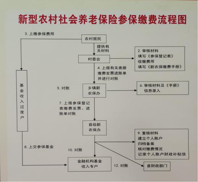 上饶农村医保和社保有什么区别(农村医保跟社保的区别)